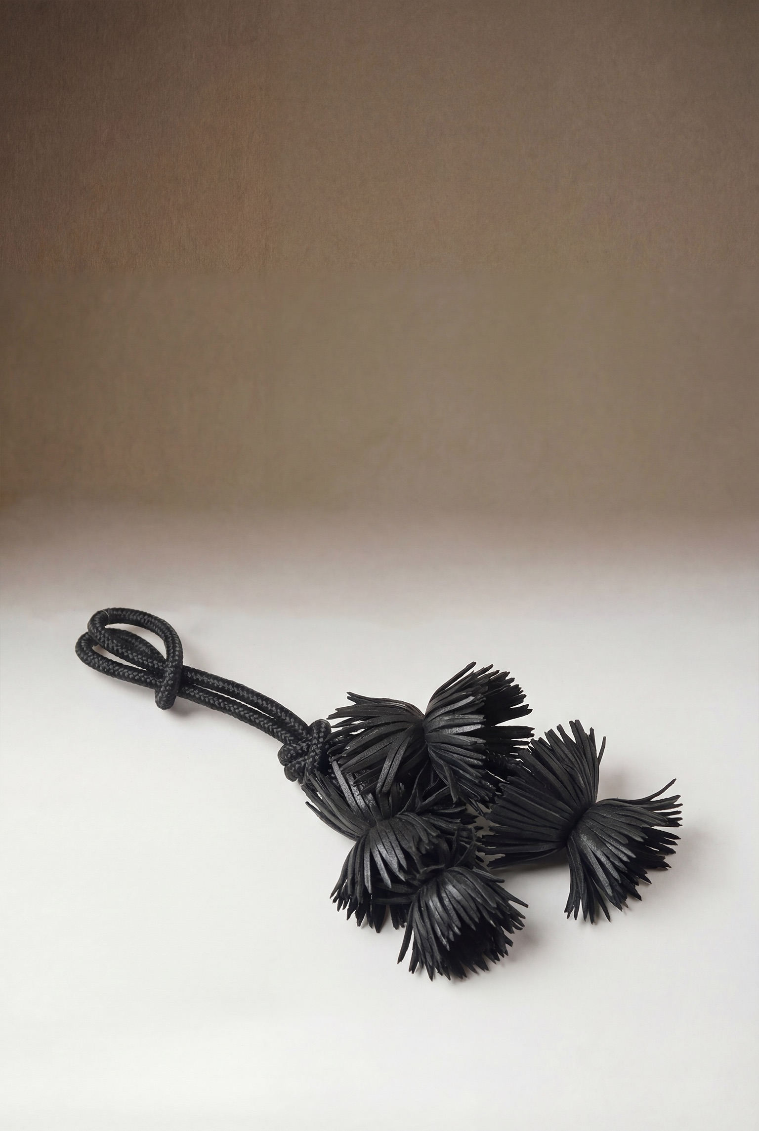 Crisantemo - Imagen 3